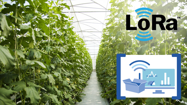 ITalks starter package Smart Farming indoor | Smart farming | Product | MCS